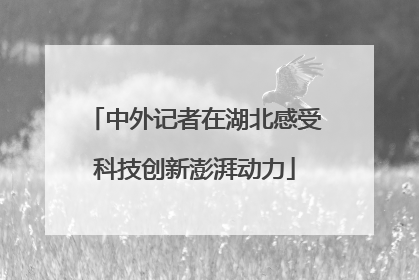 中外记者在湖北感受科技创新澎湃动力
