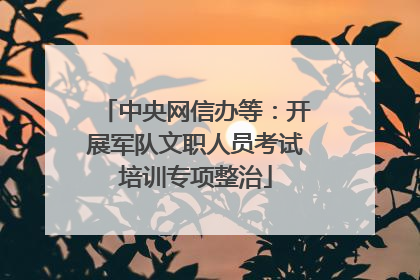 中央网信办等：开展军队文职人员考试培训专项整治