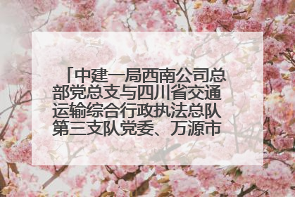 中建一局西南公司总部党总支与四川省交通运输综合行政执法总队第三支队党委、万源市草坝镇莲花院村党支部开展党建联建