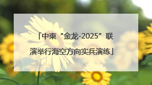 中柬“金龙-2025”联演举行海空方向实兵演练
