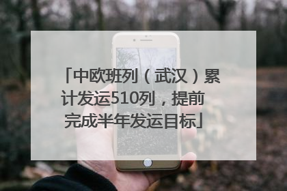 中欧班列（武汉）累计发运510列，提前完成半年发运目标