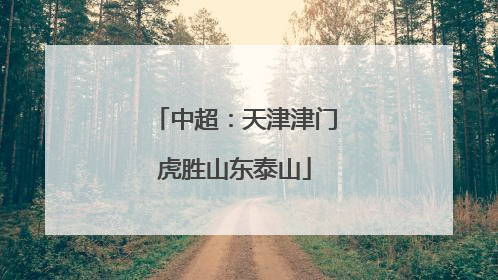 中超：天津津门虎胜山东泰山