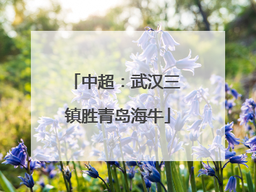 中超：武汉三镇胜青岛海牛