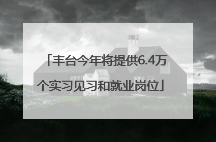 丰台今年将提供6.4万个实习见习和就业岗位