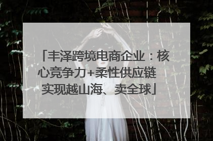 丰泽跨境电商企业：核心竞争力+柔性供应链 实现越山海、卖全球