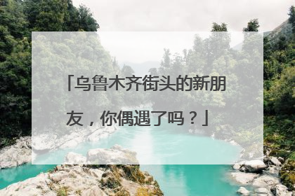 乌鲁木齐街头的新朋友，你偶遇了吗？
