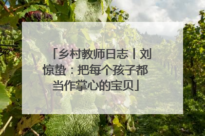 乡村教师日志丨刘惊蛰：把每个孩子都当作掌心的宝贝