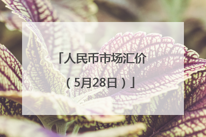 人民币市场汇价（5月28日）