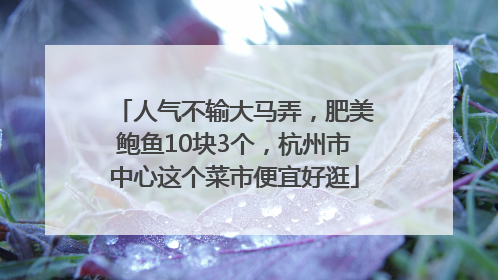人气不输大马弄，肥美鲍鱼10块3个，杭州市中心这个菜市便宜好逛