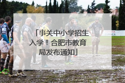 事关中小学招生入学！合肥市教育局发布通知