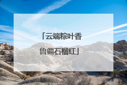 云端粽叶香 鲁疆石榴红
