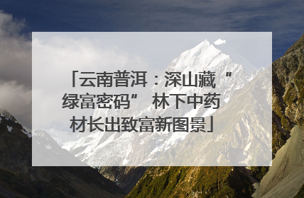 云南普洱：深山藏“绿富密码” 林下中药材长出致富新图景