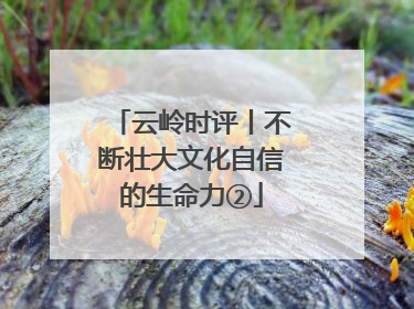 云岭时评丨不断壮大文化自信的生命力②