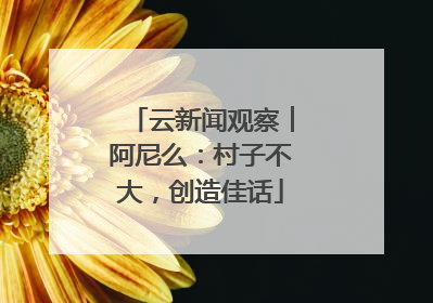 云新闻观察︱阿尼么：村子不大，创造佳话
