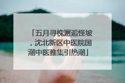 五月寻槐邂逅怪坡，沈北新区中医院国潮中医雅集引热潮