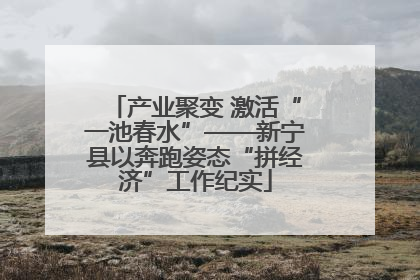 产业聚变 激活“一池春水”——新宁县以奔跑姿态“拼经济”工作纪实