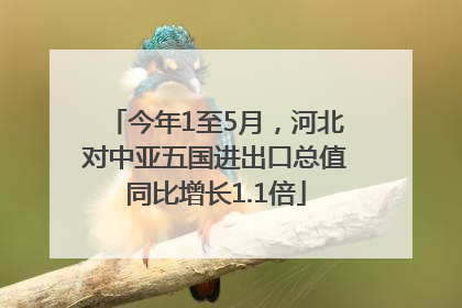 今年1至5月，河北对中亚五国进出口总值同比增长1.1倍