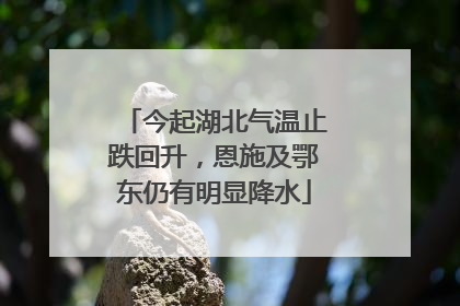 今起湖北气温止跌回升，恩施及鄂东仍有明显降水