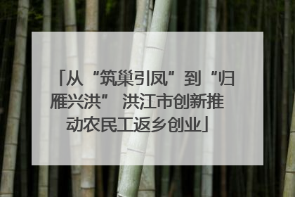 从“筑巢引凤”到“归雁兴洪” 洪江市创新推动农民工返乡创业