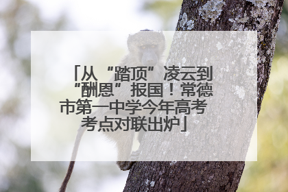 从“踏顶”凌云到“酬恩”报国！常德市第一中学今年高考考点对联出炉