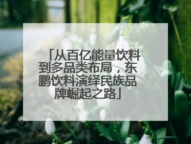 从百亿能量饮料到多品类布局，东鹏饮料演绎民族品牌崛起之路