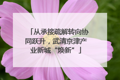 从承接疏解转向协同跃升，武清京津产业新城“焕新”