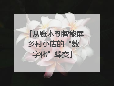 从账本到智能屏 乡村小店的“数字化”蝶变