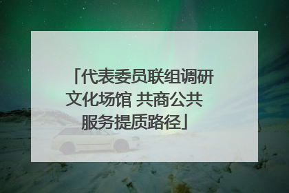 代表委员联组调研文化场馆 共商公共服务提质路径