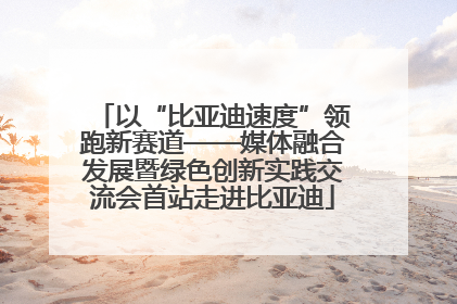 以“比亚迪速度”领跑新赛道——媒体融合发展暨绿色创新实践交流会首站走进比亚迪