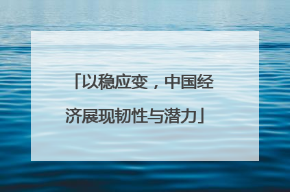 以稳应变，中国经济展现韧性与潜力