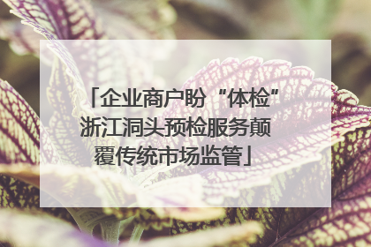 企业商户盼“体检” 浙江洞头预检服务颠覆传统市场监管