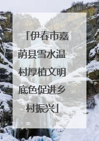 伊春市嘉荫县雪水温村厚植文明底色促进乡村振兴