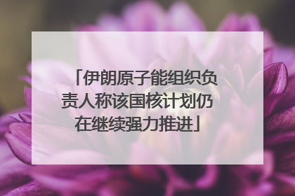 伊朗原子能组织负责人称该国核计划仍在继续强力推进