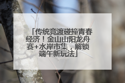 传统竞渡碰撞青春经济！金山山阳龙舟赛+水岸市集，解锁端午新玩法