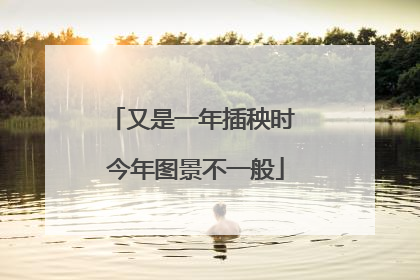 又是一年插秧时 今年图景不一般