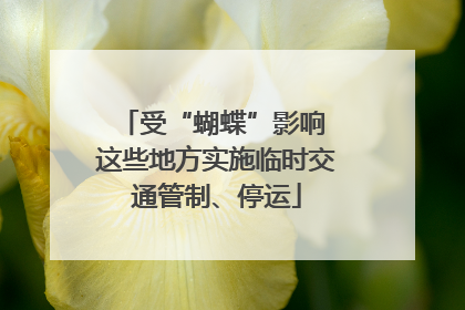 受“蝴蝶”影响 这些地方实施临时交通管制、停运