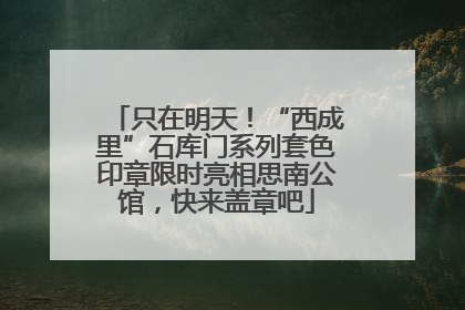 只在明天！“西成里”石库门系列套色印章限时亮相思南公馆，快来盖章吧