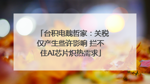 台积电魏哲家：关税仅产生些许影响 拦不住AI芯片炽热需求