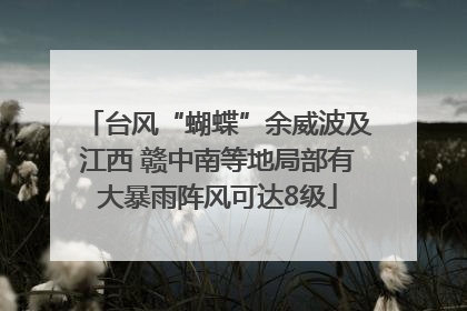 台风“蝴蝶”余威波及江西 赣中南等地局部有大暴雨阵风可达8级