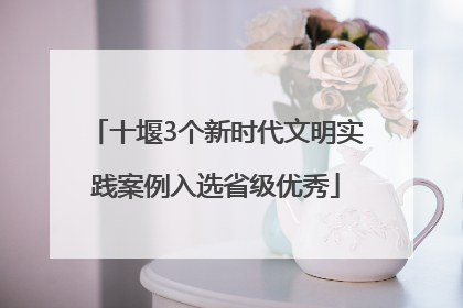 十堰3个新时代文明实践案例入选省级优秀
