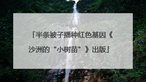 半条被子播种红色基因《沙洲的“小树苗”》出版