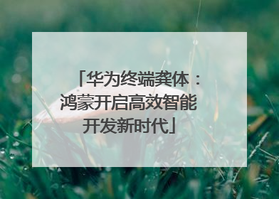 华为终端龚体：鸿蒙开启高效智能开发新时代