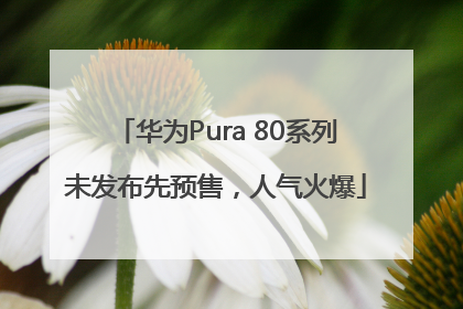 华为Pura 80系列未发布先预售，人气火爆