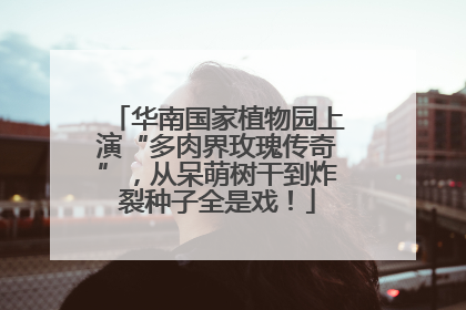 华南国家植物园上演“多肉界玫瑰传奇”，从呆萌树干到炸裂种子全是戏！