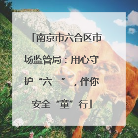 南京市六合区市场监管局：用心守护“六一”，伴你安全“童”行