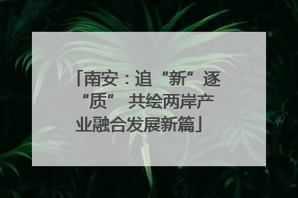 南安：追“新”逐“质” 共绘两岸产业融合发展新篇