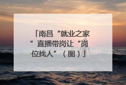 南昌“就业之家”直播带岗让“岗位找人”（图）