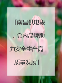 南昌供电段：党内品牌助力安全生产高质量发展