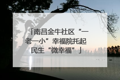 南昌金牛社区“一老一小”幸福院托起民生“微幸福”