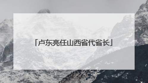卢东亮任山西省代省长
